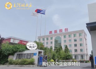 【大河財(cái)立方】綠色智造新質(zhì)未來(lái)-新鄉(xiāng)振動(dòng)向新力